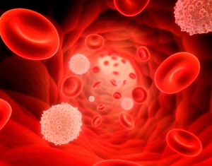 Hematología